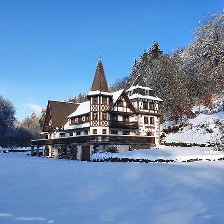 Lohr Le Saint Moulin De La Petite Pierre 빌라 외부 사진