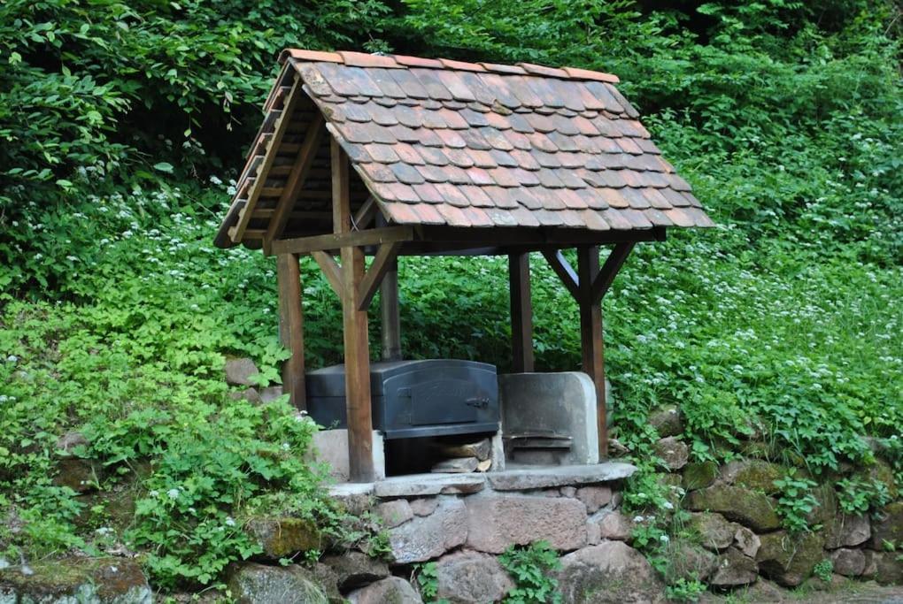 Lohr Le Saint Moulin De La Petite Pierre 빌라 외부 사진