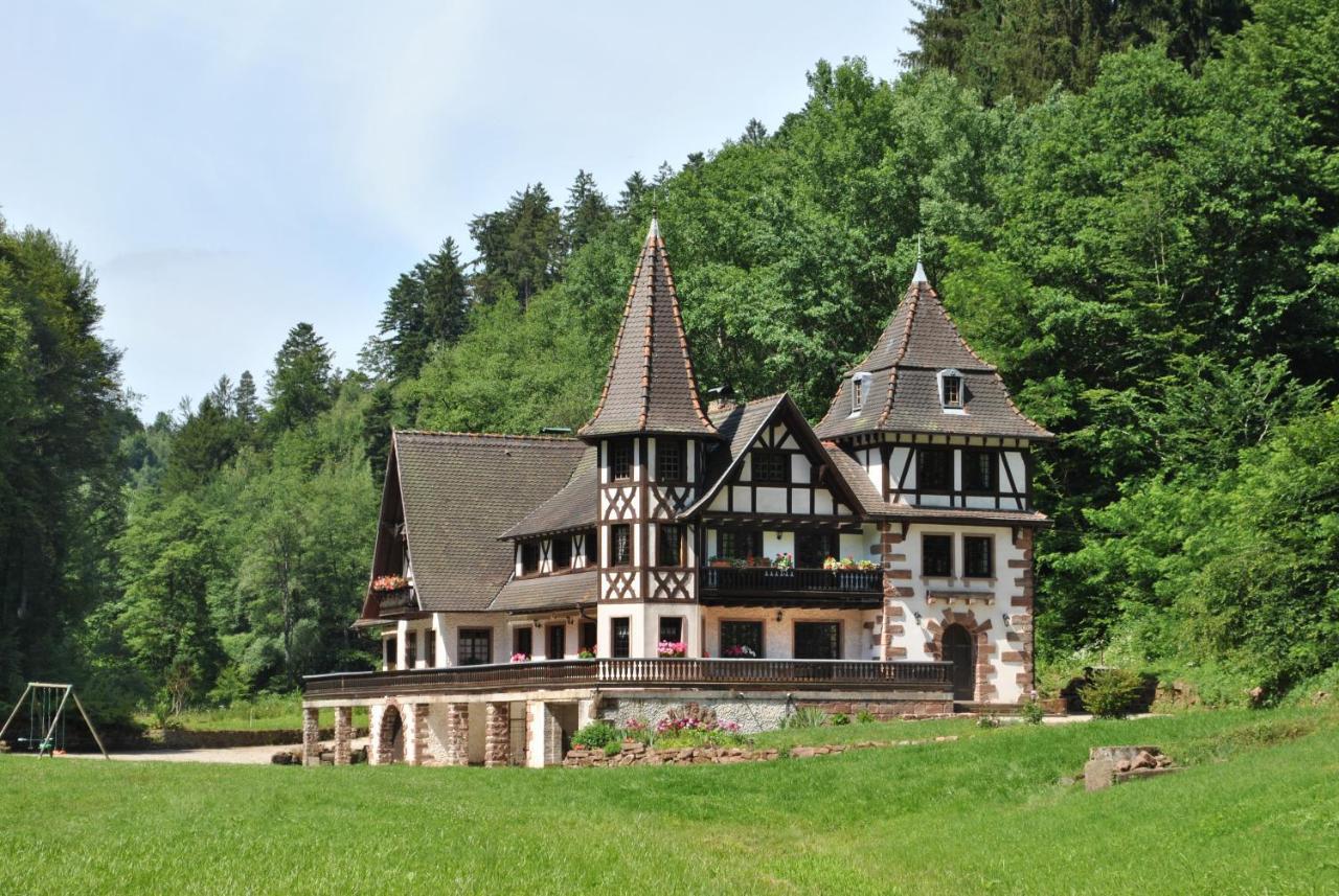 Lohr Le Saint Moulin De La Petite Pierre 빌라 외부 사진