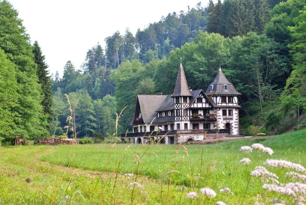Lohr Le Saint Moulin De La Petite Pierre 빌라 외부 사진