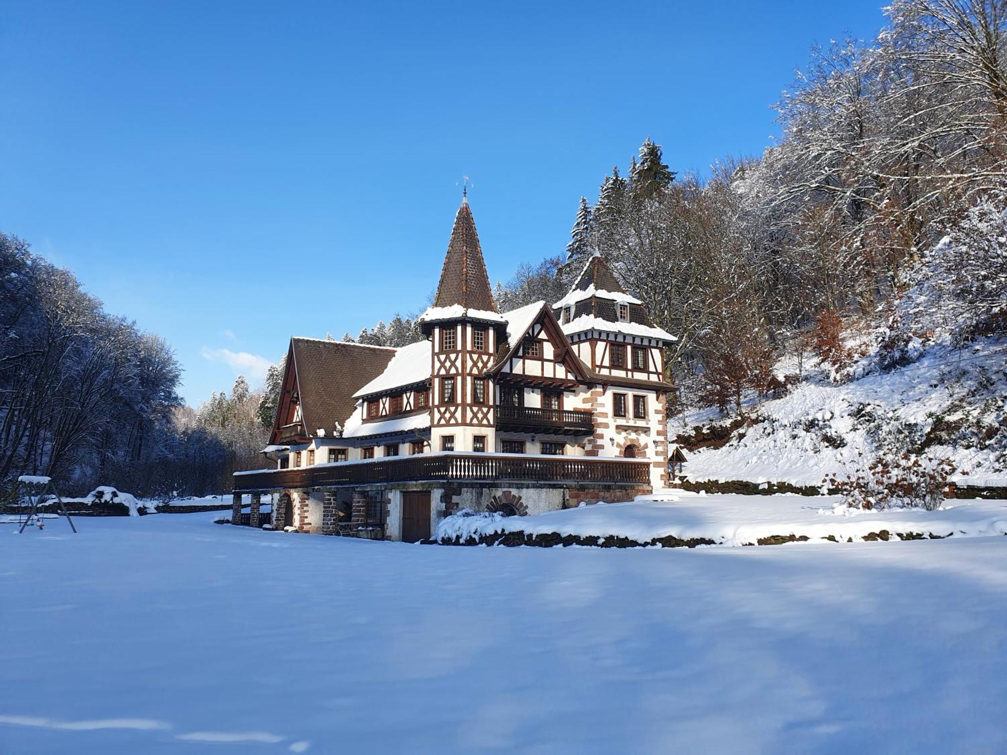 Lohr Le Saint Moulin De La Petite Pierre 빌라 외부 사진